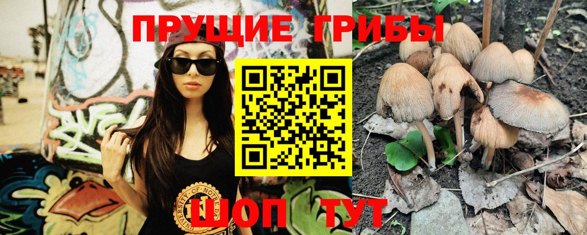 Псилоцибиновые грибы Psilocybe Каменка